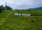 10 Tempat Wisata Murah di Bogor untuk Liburan Tahun Baru, Nomor 5 Udaranya Dingin