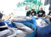 Muncul Usulan Ikan Jadi Menu Pendukung Program Makan Bergizi Gratis