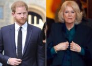 Pangeran Harry Sebut Ratu Camilla Orang Ketiga dalam Pernikahan Putri Diana dan Raja Charles III