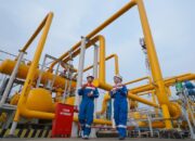 Pertamina Gas Dukung Pengembangan Ekosistem Hilir Migas