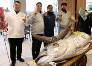 Ikan Tuna Seukuran Sepeda Motor Dijual Rp20,9 Miliar ke Restoran Sushi di Tokyo