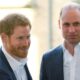 Pangeran Harry Tawarkan Diri Jadi Raja Inggris Gantikan William