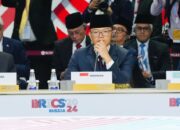 Resmi Jadi Anggota BRICS, Indonesia Terima Kasih ke Rusia dan Brasil