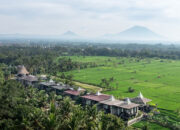 Surga Wellness Eksklusif di Tengah Ubud
