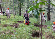 Negara Tak Bisa Batalkan HGU di Kawasan Hutan yang Belum Ditetapkan