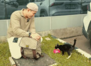 Robby Purba Lakukan Street Feeding sebagai Bentuk Kasih Sayang untuk Kucing Jalanan